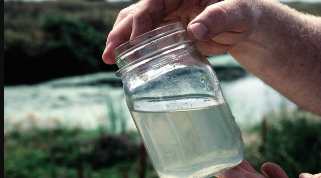 Screen Shot 2017-04-18 at 12.12.31 PM